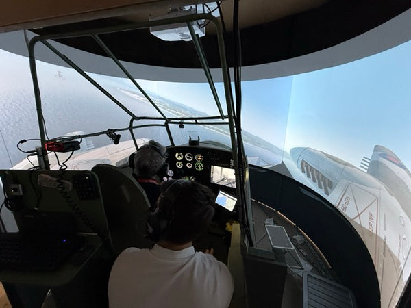 Mosquito Flight Simulator Experience