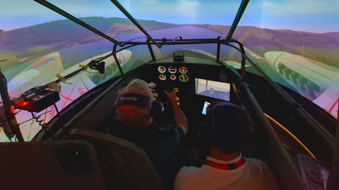 Mosquito Flight Simulator Experience