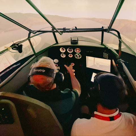 Mosquito Flight Simulator Experience